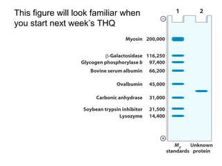 This figure will look familiar when 
you start next week’s THQ 
 