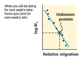 What you will be doing 
for next week’s take-home 
quiz (and for 
next week’s lab) 
 