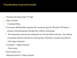  Visualizes the band under UV light.
 Types of stains;
1. Coomassie Blue;
* Coomassie Brilliant Blue staining The Coomassie dyes R-250 and G-250 bind to
proteins stoichiometrically through their sulfonic acid groups.
* . The interactions between dye and protein are Van der Waals and ionic. The sulfonic
acid groups interact with positive amine groups. Therefore coomassie dye binds to
wide range of proteins.
* Limited to ~100ng of protein.
1. Silver stain;
*most sensitive test
*detection limit 0.1-1.0ng of protein
 