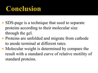  SDS-page is a technique that used to separate
proteins according to their molecular size
through the gel.
 Proteins are unfolded and migrate from cathode
to anode terminal at different rates.
 Molecular weight is determined by compare the
result with a standard curve of relative motility of
standard proteins.
 