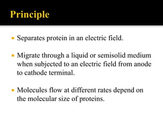  Separates protein in an electric field.
 Migrate through a liquid or semisolid medium
when subjected to an electric field from anode
to cathode terminal.
 Molecules flow at different rates depend on
the molecular size of proteins.
 
