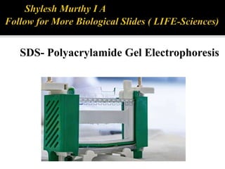 SDS- Polyacrylamide Gel Electrophoresis
 