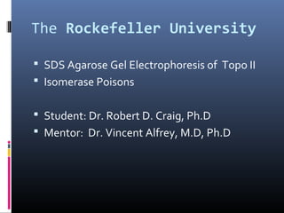 The Rockefeller University
 SDS Agarose Gel Electrophoresis of Topo II
 Isomerase Poisons
 Student: Dr. Robert D. Craig, Ph.D
 Mentor: Dr. Vincent Alfrey, M.D, Ph.D
 