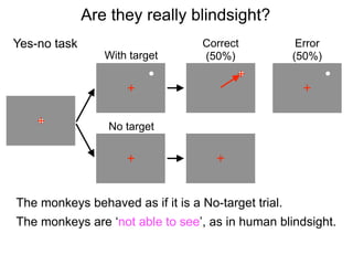 1) You collect samples.
2) You set the criteria for optimal discrimination.
 