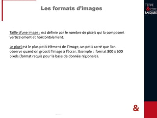 Les formats d’images
Taille d’une image : est définie par le nombre de pixels qui la composent
verticalement et horizontalement.
Le pixel est le plus petit élément de l’image, un petit carré que l’on
observe quand on grossit l’image à l’écran. Exemple : format 800 x 600
pixels (format requis pour la base de donnée régionale).
 