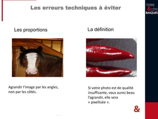 Les erreurs techniques à éviter
La définitionLes proportions
Agrandir l’image par les angles,
non par les côtés.
Si votre photo est de qualité
insuffisante, vous aurez beau
l’agrandir, elle sera
« pixellisée ».
 