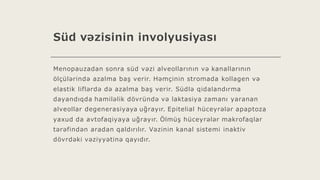 Süd vəzisinin involyusiyası
Menopauzadan sonra süd vəzi alveollarının və kanallarının
ölçülərində azalma baş verir. Həmçinin stromada kollagen və
elastik liflərdə də azalma baş verir. Südlə qidalandırma
dayandıqda hamiləlik dövründə və laktasiya zamanı yaranan
alveollar degenerasiyaya uğrayır. Epitelial hüceyrələr apaptoza
yaxud da avtofaqiyaya uğrayır. Ölmüş hüceyrələr makrofaqlar
tərəfindən aradan qaldırılır. Vəzinin kanal sistemi inaktiv
dövrdəki vəziyyətinə qayıdır.
 