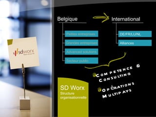Petites entreprises Grandes entreprises Advanced solutions Secteur public SD Worx Structure  organisationnelle Belgique Petites entreprises Grandes entreprises Advanced solutions Secteur public DE/FR/LU/NL Alliances International Competence & Multipays  Consulting Opérations 