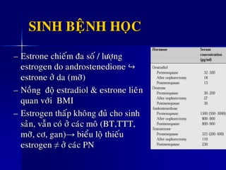 SINH BEÄNH HOÏC
– Estrone chieám ña soá / löôïng
estrogen do androstenedione ↪
estrone ôû da (môõ)
– Noàng ñoä estradiol & estrone lieân
quan vôùi BMI
– Estrogen thaáp khoâng ñuû cho sinh
saûn, vaãn coù ôû caùc moâ (BT,TTT,
môõ, cô, gan)→ bieåu loä thieáu
estrogen ≠ ôû caùc PN
 