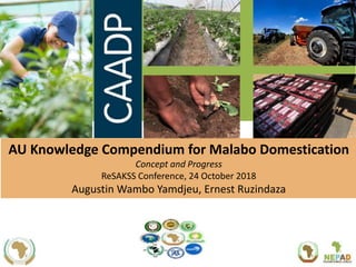 AU Knowledge Compendium for Malabo Domestication
Concept and Progress
ReSAKSS Conference, 24 October 2018
Augustin Wambo Yamdjeu, Ernest Ruzindaza
 