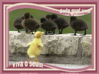 Viva o seu!!! Cada qual com  seu Talento!   