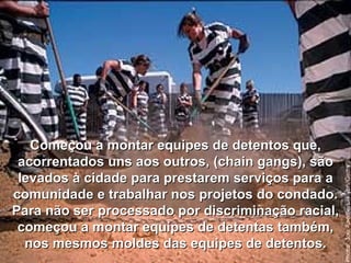 Começou a montar equipes de detentos que, acorrentados uns aos outros, (chain gangs), são levados à cidade para prestarem serviços para a comunidade e trabalhar nos projetos do condado. Para não ser processado por discriminação racial, começou a montar equipes de detentas também, nos mesmos moldes das equipes de detentos. 