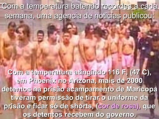 Com a temperatura batendo recordes a cada semana, uma agencia de noticias publicou: Com a temperatura atingindo 116 F, (47 C), em Phoenix no Arizona, mais de 2000 detentos na prisão acampamento de Maricopa tiveram permissão de tirar o uniforme da prisão e ficar só de shorts, ( cor de rosa),  que os detentos recebem do governo. 
