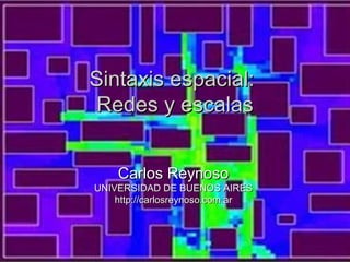 Sintaxis espacial:
Redes y escalas


    Carlos Reynoso
UNIVERSIDAD DE BUENOS AIRES
    http://carlosreynoso.com.ar
 