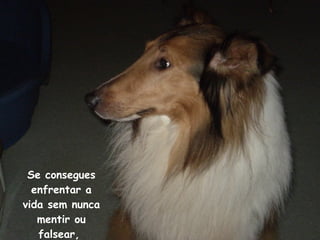 Se consegues enfrentar a vida sem nunca mentir ou falsear,  