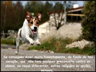 Se consegues dizer muito honestamente, do fundo do teu coração, que  não tens qualquer preconceito contra os idosos, as raças diferentes, outras religiões ou opções sexuais,  