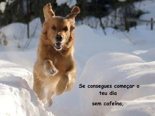 Se consegues começar o teu dia  sem cafeína,  
