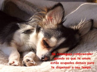 Se consegues compreender quando os que te amam estão ocupados demais para te dispensar o seu tempo,  