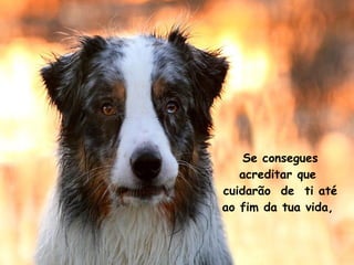 Se consegues acreditar que  cuidarão  de  ti até ao fim da tua vida,  