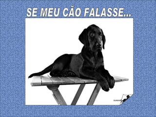 SE MEU CÃO FALASSE... 