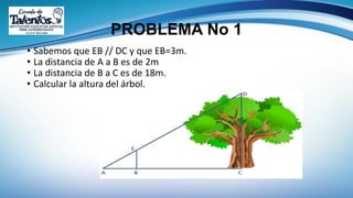 PROBLEMA No 1
• Sabemos que EB // DC y que EB=3m.
• La distancia de A a B es de 2m
• La distancia de B a C es de 18m.
• Calcular la altura del árbol.
 