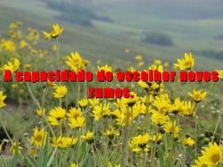 A capacidade de escolher novos rumos. 