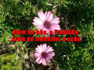 Além do pão, o trabalho.  Além do trabalho, a ação. 