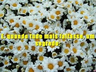 E, quando tudo mais faltasse, um segredo: 