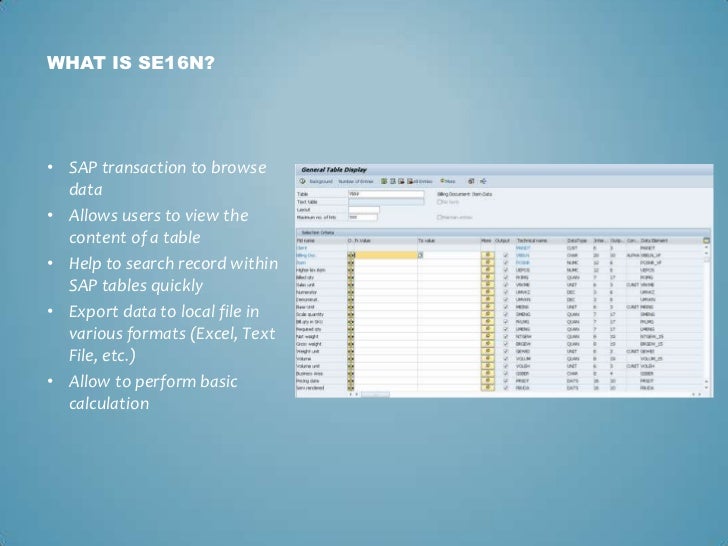 SE16N General Table Display