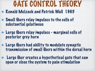 GATE CONTROL THEORY
Ronald Melzack and Patrick Wall 1965
Small ﬁbers relay impulses to the cells of
substantial gelatinous
Large ﬁbers relay impulses - marginal cells of
posterior grey horn
Large ﬁbers had ability to modulate synaptic
transmission of small ﬁbers within the dorsal horn
Large ﬁber creates a hypothetical gate that can
open or close the system to pain stimulation
 