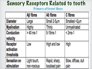Primary afferent ﬁbers
Sensory Receptors Related to tooth
 