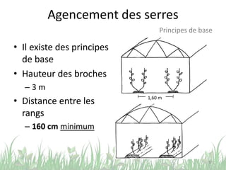 Agencement des serres
• Il existe des principes
de base
• Hauteur des broches
– 3 m
• Distance entre les
rangs
– 160 cm minimum
10
Principes de base
1,60 m
 