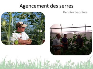 Agencement des serres
12
Densités de culture
 