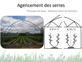 Agencement des serres
• Rangs simples et
rangs doubles
– 60 à 70 cm maximum
• 70 cm lorsque les
rangs sont espacés
>160 cm
14
Principes de base - distance entre les broches
60 cm
 