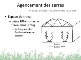 Agencement des serres
• Espace de travail
– Laisse 100 cm pour le
travail dans le rang
• La longueur des
feuilles réduira cet
espace
15
Principes de base - distance entre les plants
1,00 m
1,60 m
 