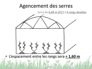 Agencement des serres
• L’espacement entre les rangs sera = 1,60 m
16
Serre de 6,40 m (21’) à 4 rangs doubles
 