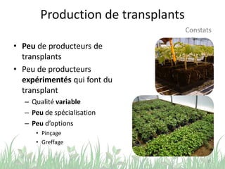 Production de transplants
• Peu de producteurs de
transplants
• Peu de producteurs
expérimentés qui font du
transplant
– Qualité variable
– Peu de spécialisation
– Peu d’options
• Pinçage
• Greffage
25
Constats
 