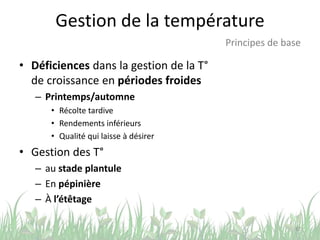 Gestion de la température
• Déficiences dans la gestion de la T°
de croissance en périodes froides
– Printemps/automne
• Récolte tardive
• Rendements inférieurs
• Qualité qui laisse à désirer
• Gestion des T°
– au stade plantule
– En pépinière
– À l’étêtage
32
Principes de base
 