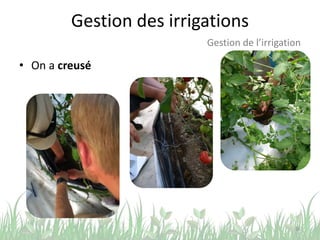 Gestion des irrigations
• On a creusé
36
Gestion de l’irrigation
 