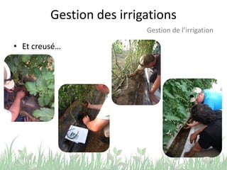 Gestion des irrigations
• Et creusé…
37
Gestion de l’irrigation
 