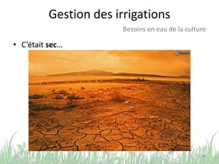Gestion des irrigations
• C’était sec…
38
Besoins en eau de la culture
 