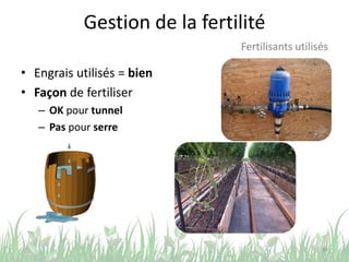 Gestion de la fertilité
39
Fertilisants utilisés
• Engrais utilisés = bien
• Façon de fertiliser
– OK pour tunnel
– Pas pour serre
 