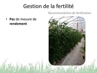 Gestion de la fertilité
40
Recommandation de fertilisation
• Pas de mesure de
rendement
 