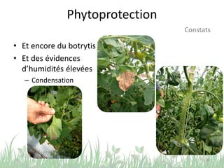 Phytoprotection
43
Constats
• Et encore du botrytis
• Et des évidences
d’humidités élevées
– Condensation
 