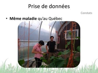 Prise de données
• Même maladie qu’au Québec
52
Constats
 