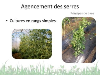 Agencement des serres
• Cultures en rangs simples
8
Principes de base
 