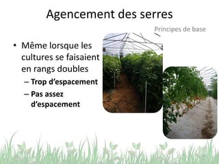 Agencement des serres
• Même lorsque les
cultures se faisaient
en rangs doubles
– Trop d’espacement
– Pas assez
d’espacement
9
Principes de base
 