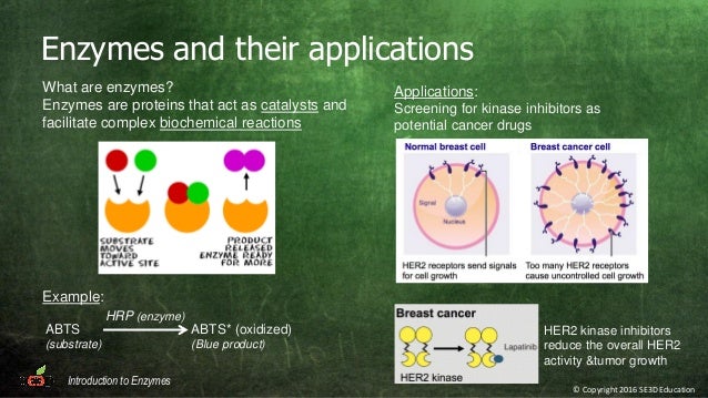 Natural Inhibitors Of Collagen Production Natural Inhibitors Of Collagen Production