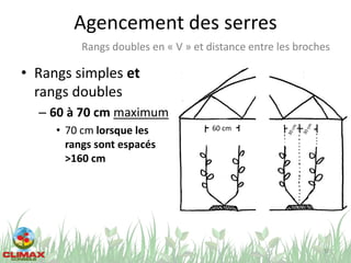 Agencement des serres
• Rangs simples et
rangs doubles
– 60 à 70 cm maximum
• 70 cm lorsque les
rangs sont espacés
>160 cm
10
Rangs doubles en « V » et distance entre les broches
60 cm
 