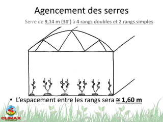 Agencement des serres
• L’espacement entre les rangs sera @ 1,60 m
20
Serre de 9,14 m (30’) à 4 rangs doubles et 2 rangs simples
 